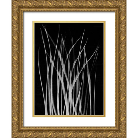 Grassy Heaven Gold Ornate Wood Framed Art Print with Double Matting by Koetsier, Albert