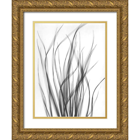 Grass 2 Gold Ornate Wood Framed Art Print with Double Matting by Koetsier, Albert