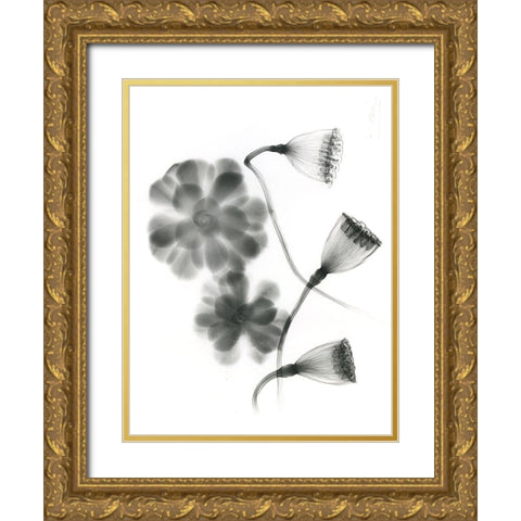 Land Of Lost Lotus Gold Ornate Wood Framed Art Print with Double Matting by Koetsier, Albert