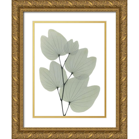 Orchid Tree Gold Ornate Wood Framed Art Print with Double Matting by Koetsier, Albert