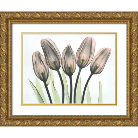 Tulips 2 Gold Ornate Wood Framed Art Print with Double Matting by Koetsier, Albert