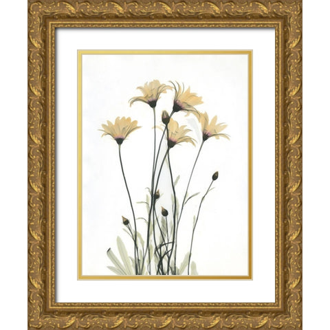 Wild Flowers Gold Ornate Wood Framed Art Print with Double Matting by Koetsier, Albert