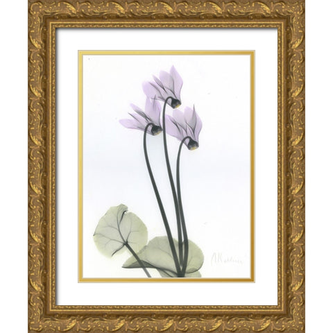 Cyclamen Gold Ornate Wood Framed Art Print with Double Matting by Koetsier, Albert