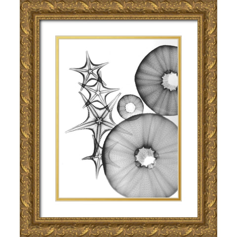 Universe Of Pythagoras Gold Ornate Wood Framed Art Print with Double Matting by Koetsier, Albert