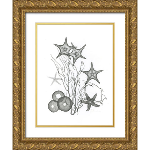 Starfish Gold Ornate Wood Framed Art Print with Double Matting by Koetsier, Albert