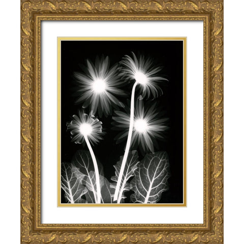 Shinning Florals Gold Ornate Wood Framed Art Print with Double Matting by Koetsier, Albert