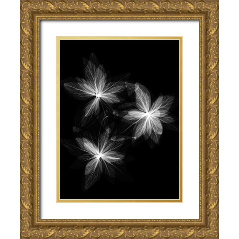 Spring Trio Gold Ornate Wood Framed Art Print with Double Matting by Koetsier, Albert