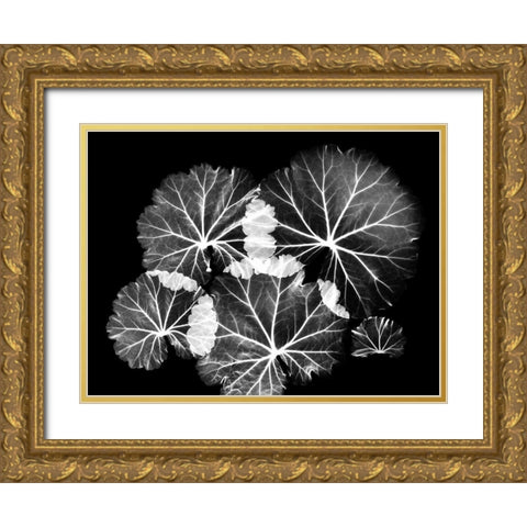 Blooming Celebration 1 Gold Ornate Wood Framed Art Print with Double Matting by Koetsier, Albert