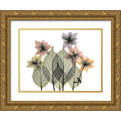 Hiding Lovelies Gold Ornate Wood Framed Art Print with Double Matting by Koetsier, Albert