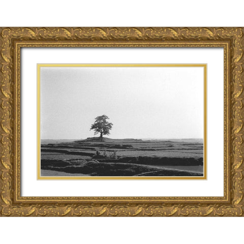 Lonely Field Gold Ornate Wood Framed Art Print with Double Matting by Koetsier, Albert