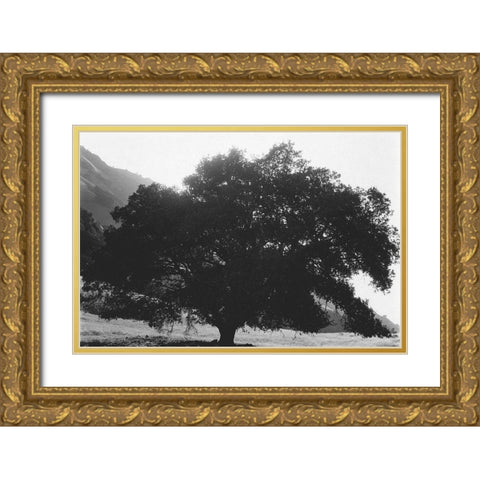 Bush Breeze Gold Ornate Wood Framed Art Print with Double Matting by Koetsier, Albert