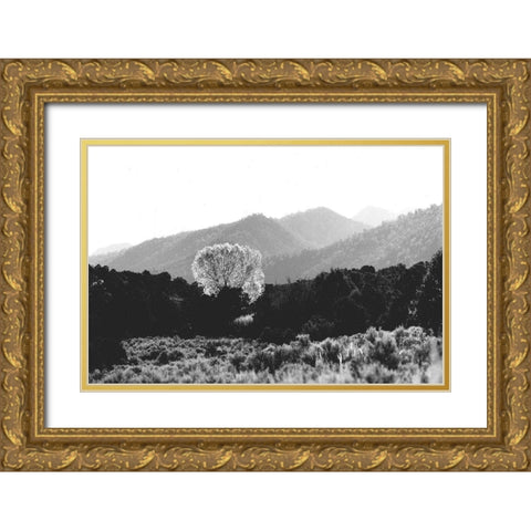 Upward Views Gold Ornate Wood Framed Art Print with Double Matting by Koetsier, Albert