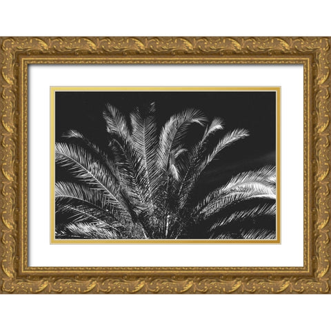 Tropical Night Gold Ornate Wood Framed Art Print with Double Matting by Koetsier, Albert