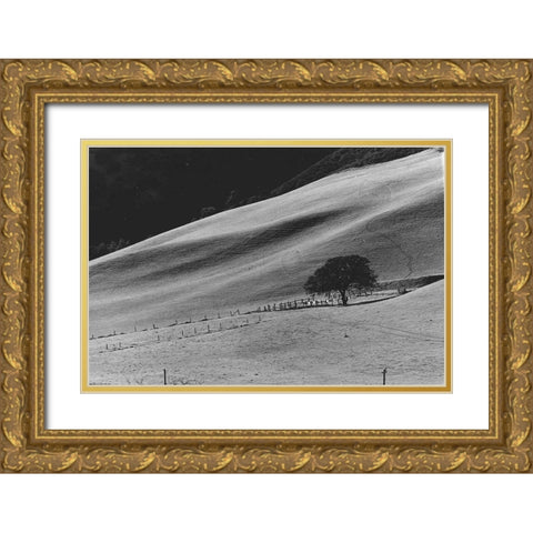 Calming Slope Gold Ornate Wood Framed Art Print with Double Matting by Koetsier, Albert