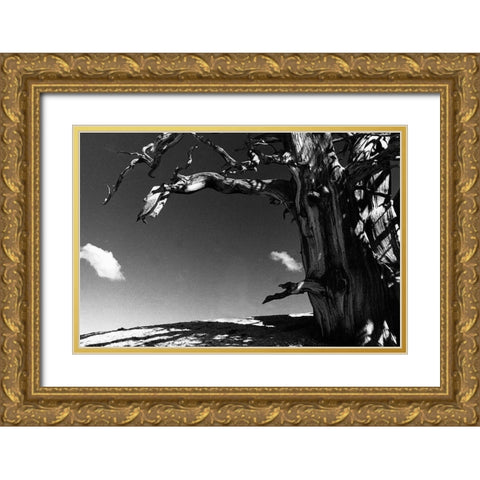 Curved World Gold Ornate Wood Framed Art Print with Double Matting by Koetsier, Albert