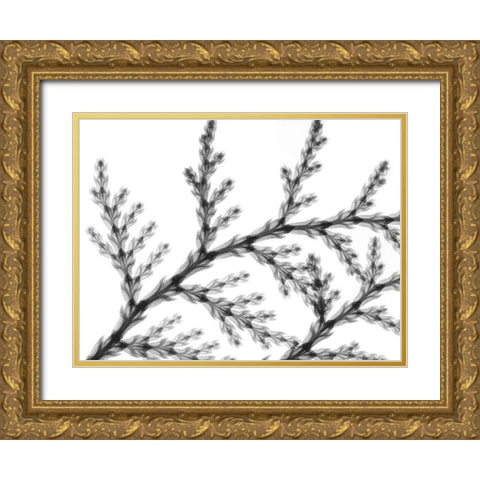 Natural Reach Gold Ornate Wood Framed Art Print with Double Matting by Koetsier, Albert