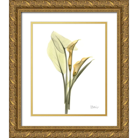 Orange Flowers Calla Lily Gold Ornate Wood Framed Art Print with Double Matting by Koetsier, Albert