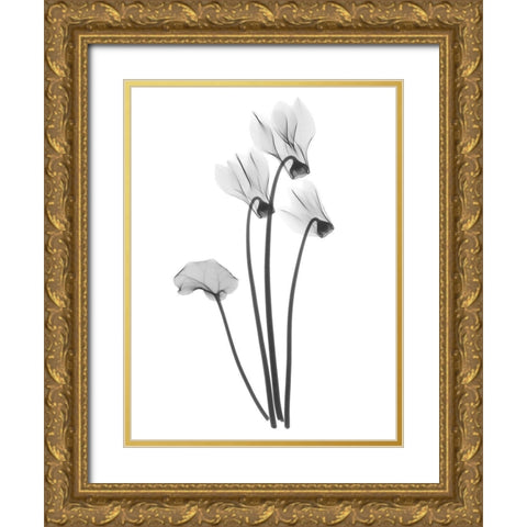 Cyclamen Gold Ornate Wood Framed Art Print with Double Matting by Koetsier, Albert