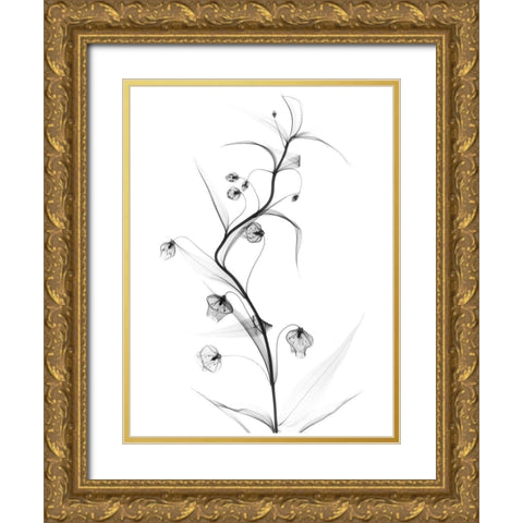 White Globe Lily Gold Ornate Wood Framed Art Print with Double Matting by Koetsier, Albert