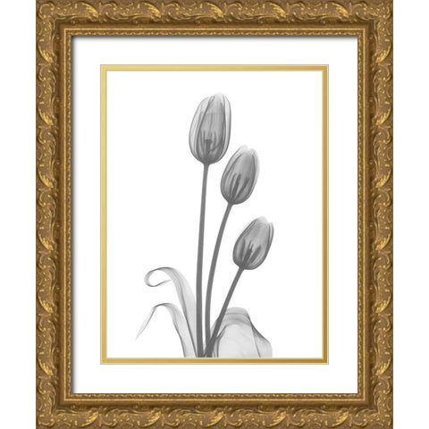 Tulip Gold Ornate Wood Framed Art Print with Double Matting by Koetsier, Albert