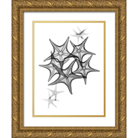 Starfish Gold Ornate Wood Framed Art Print with Double Matting by Koetsier, Albert