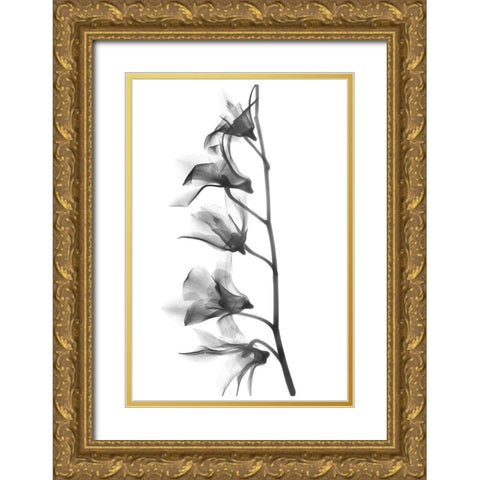 Orchid Gold Ornate Wood Framed Art Print with Double Matting by Koetsier, Albert