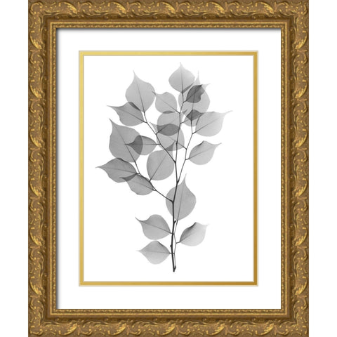 Myrtle Tree L182 Gold Ornate Wood Framed Art Print with Double Matting by Koetsier, Albert