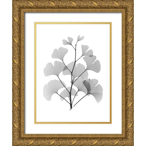 Ginko Gold Ornate Wood Framed Art Print with Double Matting by Koetsier, Albert