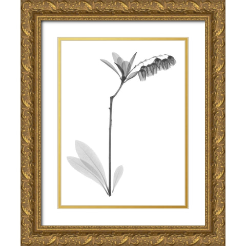 Lily Of The Vally Bush H07 Gold Ornate Wood Framed Art Print with Double Matting by Koetsier, Albert