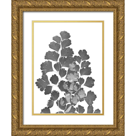 Southern Maidenhair Fern Gold Ornate Wood Framed Art Print with Double Matting by Koetsier, Albert