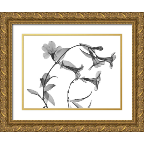 Brazilian Jasmine Gold Ornate Wood Framed Art Print with Double Matting by Koetsier, Albert