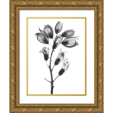 Foxglove Gold Ornate Wood Framed Art Print with Double Matting by Koetsier, Albert