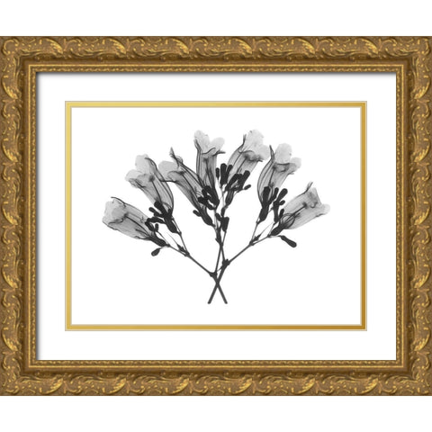 Amethyst Vine Gold Ornate Wood Framed Art Print with Double Matting by Koetsier, Albert