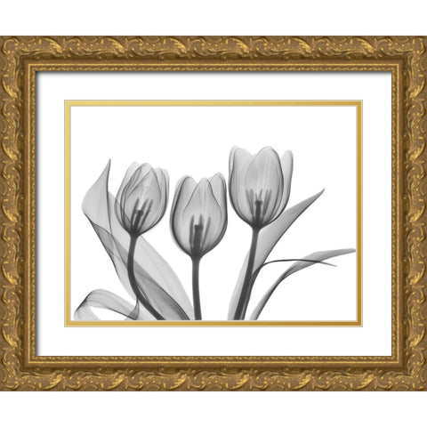 Didiers Tulip Gold Ornate Wood Framed Art Print with Double Matting by Koetsier, Albert