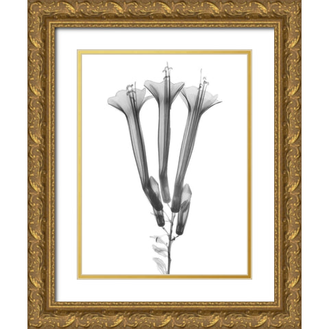 Blooming Trio Gold Ornate Wood Framed Art Print with Double Matting by Koetsier, Albert