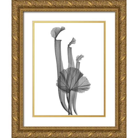 Marching Floral Gold Ornate Wood Framed Art Print with Double Matting by Koetsier, Albert