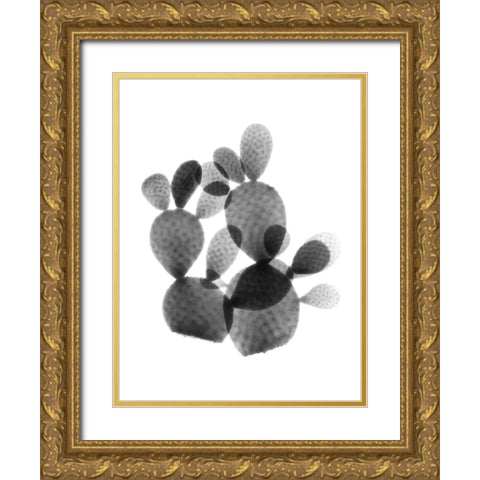 Cactus Bunch Gold Ornate Wood Framed Art Print with Double Matting by Koetsier, Albert