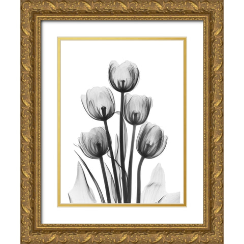 Tulips Gold Ornate Wood Framed Art Print with Double Matting by Koetsier, Albert