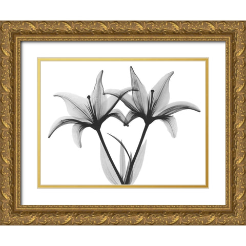 Starburst Lily Gold Ornate Wood Framed Art Print with Double Matting by Koetsier, Albert