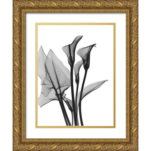 Calla Lilly Trio Gold Ornate Wood Framed Art Print with Double Matting by Koetsier, Albert