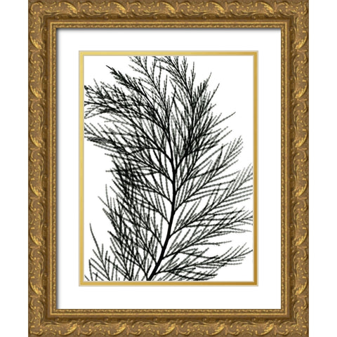 Incense Cedar Gold Ornate Wood Framed Art Print with Double Matting by Koetsier, Albert