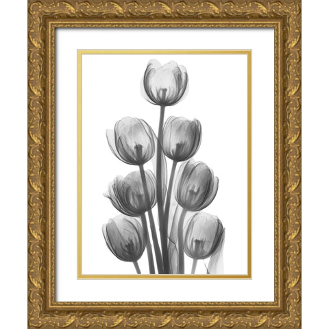 Tulips H26 Gold Ornate Wood Framed Art Print with Double Matting by Koetsier, Albert