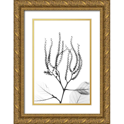 Reaching Branches Gold Ornate Wood Framed Art Print with Double Matting by Koetsier, Albert