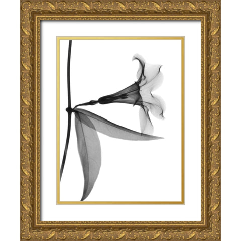 Side Hanging Tulip Gold Ornate Wood Framed Art Print with Double Matting by Koetsier, Albert