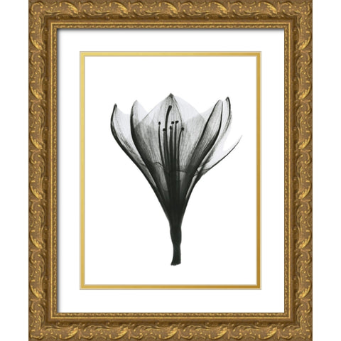 Blooming Nature Gold Ornate Wood Framed Art Print with Double Matting by Koetsier, Albert