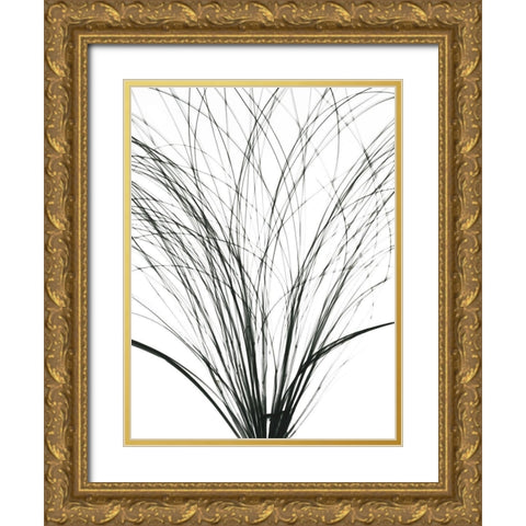 Frayed Soul Gold Ornate Wood Framed Art Print with Double Matting by Koetsier, Albert