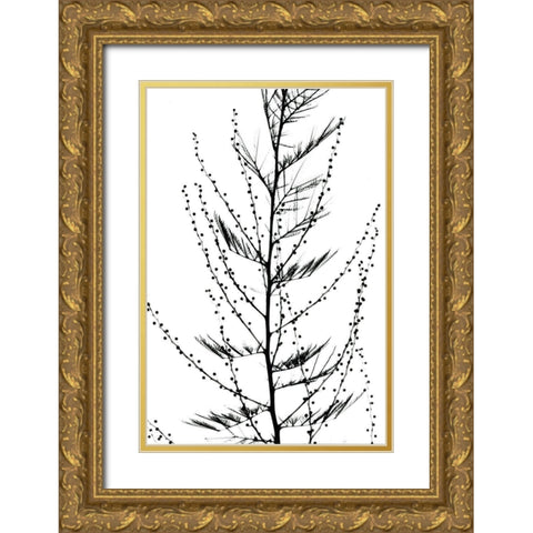 Accasia Gold Ornate Wood Framed Art Print with Double Matting by Koetsier, Albert