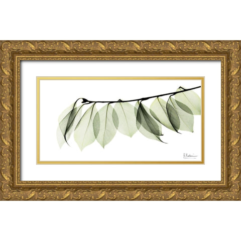 Camelia Leaf In White Gold Ornate Wood Framed Art Print with Double Matting by Koetsier, Albert