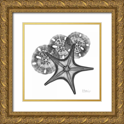 Starfish and Sand Dollar Gold Ornate Wood Framed Art Print with Double Matting by Koetsier, Albert