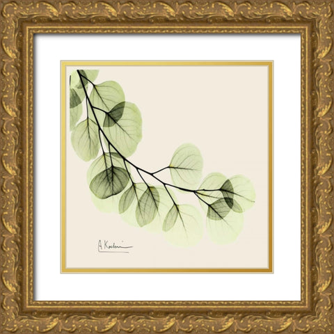 Eucalyptus Gold Ornate Wood Framed Art Print with Double Matting by Koetsier, Albert